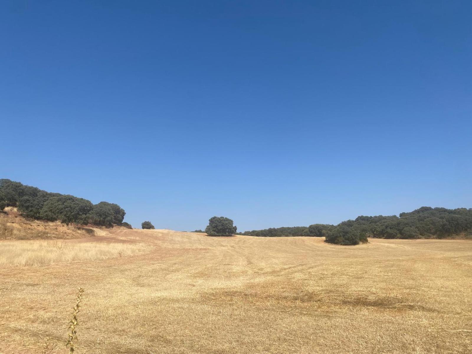 Casa Rural El Contarin - An Andalusian Escape, Archidona, Malaga Dış mekan fotoğraf