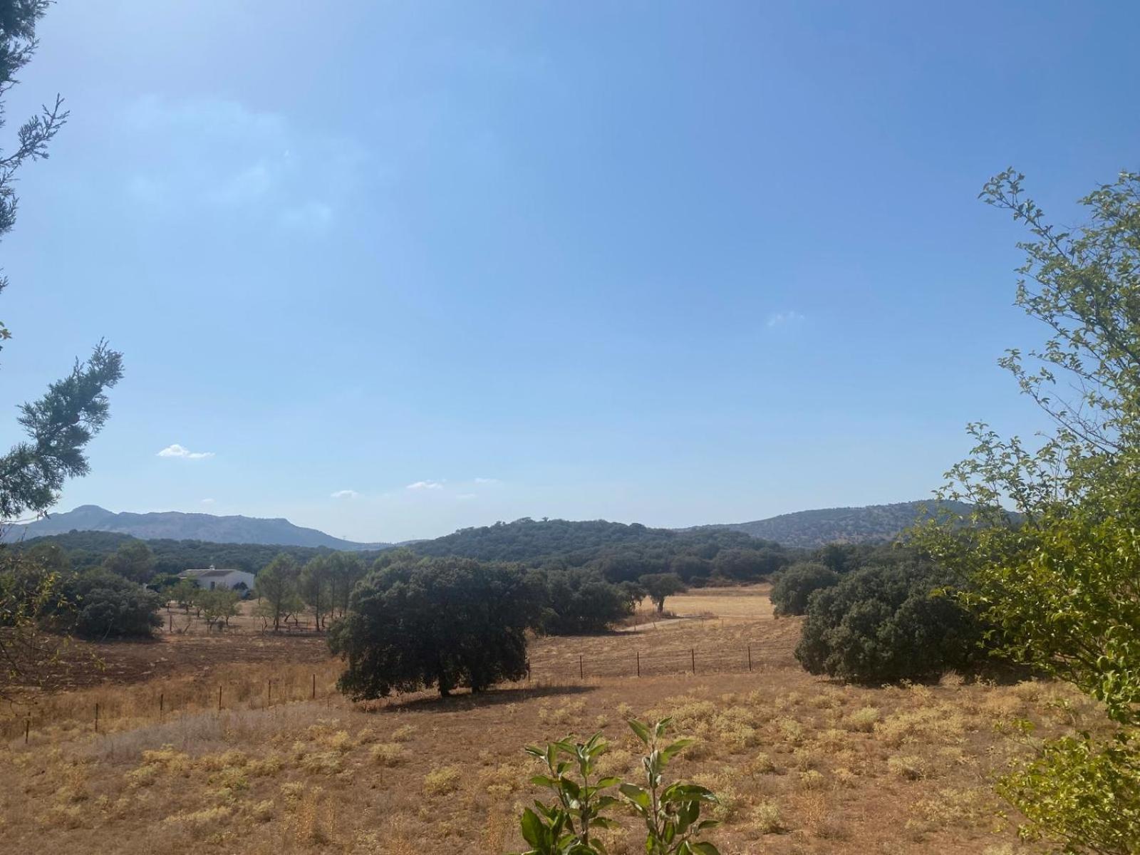 Casa Rural El Contarin - An Andalusian Escape, Archidona, Malaga Dış mekan fotoğraf