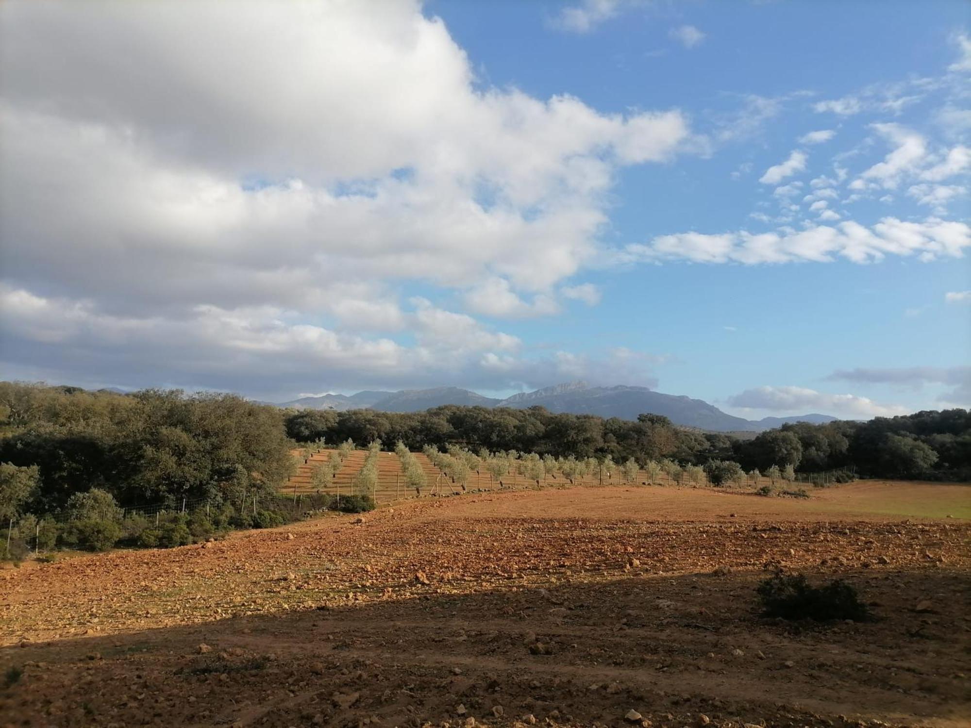 Casa Rural El Contarin - An Andalusian Escape, Archidona, Malaga Dış mekan fotoğraf